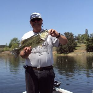 Meet your Posher, Tom